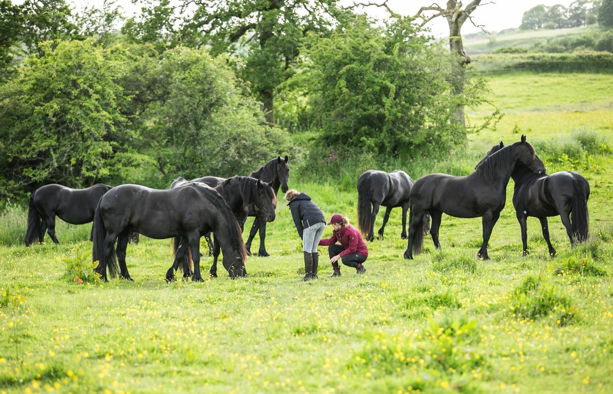 Greenbank Farm House Cartmel Ngoại thất bức ảnh